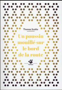 Un poussin mouillé au bord de la route - Scotto Thomas