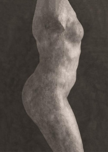 Rodin - Berry Emmanuel ; Pinet Hélène ; Guillot Marie