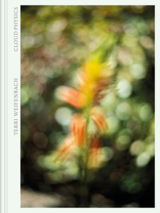 Cloud physics - Weifenbach Terri ; Lebart Luce