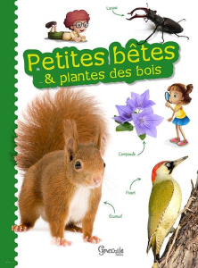 Petites bêtes & plantes des bois - Delvaille Alice ; Grosson Jean ; Eydoux Anne ; The