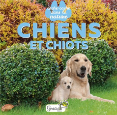 Chiens et chiots - Tellier Hélène