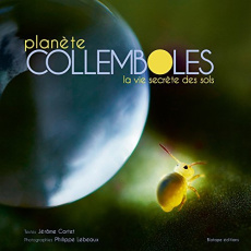 Planètes collemboles - Lebeaux