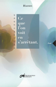 Ce que l'on voit en s'arrêtant - HAEMIN