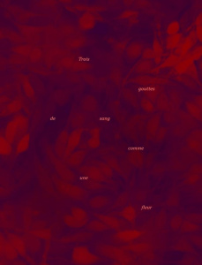 Trois gouttes de sang comme une fleur - Chapillon Clément ; Jaffré Yannick