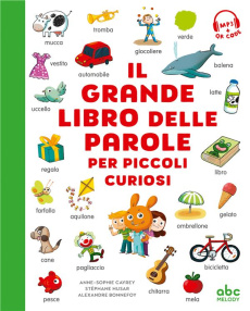 IL GRANDE LIBRO DELLE PAROLE - CAYREY/HUSAR
