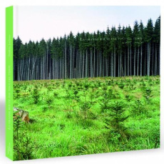 LA GRANDE ROUTE PAR TOUS LES TEMPS - LECLOUX FREDERIC