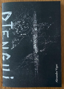 Djengui - Vigot Alexandre ; Morano Aurélia