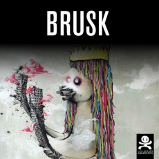 Brusk. L'art évolution, Edition bilingue français-anglais - Gutierrez Muriel ; Thuaud Henri
