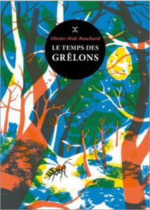 Le temps des grêlons - Mak-Bouchard Olivier