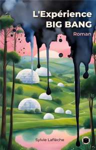 L'Expérience BIG BANG - Lafleche Sylvie