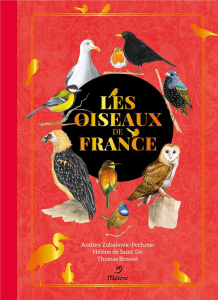 Les oiseaux de France - Zubanovic-Perfumo Audrey ; Brosset Thomas ; Saint-
