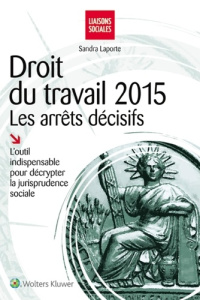 Droit du travail 2015. Les arrêts décisifs - Laporte Sandra ; Antonmattei Paul-Henri
