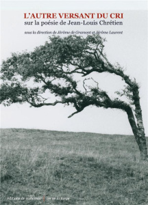 L'autre versant du cri. Sur la poésie de Jean-Louis Chrétien - Gramont Jérôme de ; Laurent Jérôme