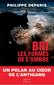 BRI, les formes de l'ombre - Deparis Philippe ; Salinas Georges