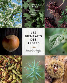 Les bienfaits des arbres. Reconnaître, récolter, cuisiner et se soigner - Hody Christophe de ; Bayard Marine ; Jamet Moreno