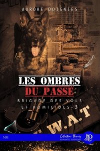 Brigade des vols et homicides Tome 3 : Les ombres du passé - Doignies Aurore