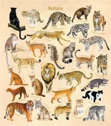 Je découvre les félins en dessinant et en coloriant - Baudier Anne ; Romeo Rebecca