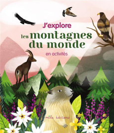 J'explore les montagnes du monde en activités - Bouyssou Laureen ; Romeo Rebecca