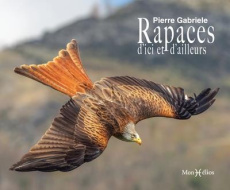 Rapaces d'ici et d'ailleurs - Gabriele Pierre