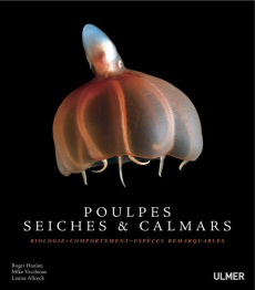 Poulpes, seiches et calmars. Biologie, comportement, espèces remarquables - Hanlon Roger ; Vecchione Mike ; Allcock Louise ; L