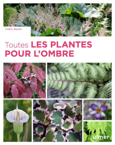 Toutes les plantes pour l'ombre - Basset Cédric ; Willery Didier