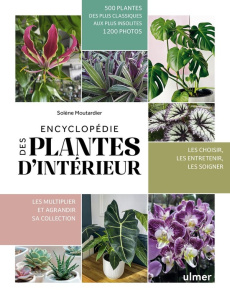 Encyclopédie des plantes d'intérieur - Moutardier Solène