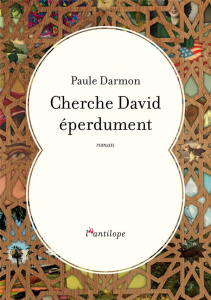 Cherche David éperdument - Darmon Paule