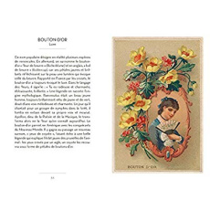 Le petit livre du langage des fleurs - Chahine Nathalie