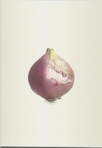 Plantes potagères. Cahier végétal - Champin Elisa ; Coutance Joséphine