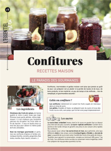 Confitures recettes maison. Le paradis des gourmands - COLLECTIF