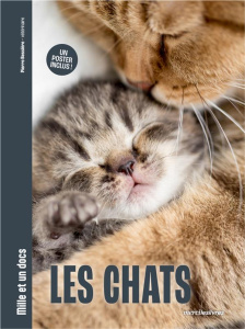 Les chats. Un poster inclus ! - Bessière Pierre