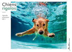 Agenda semainier Chiens rigolos. Edition 2024 - Langlais Gwenaëlle ; Jost-Kotik Marie-Anne ; Krief