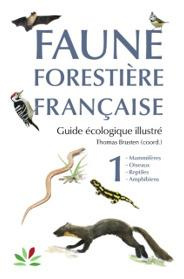 Faune forestière française, Guide écologique illustré. Tome 1, Mammifères, Oiseaux, Reptiles, Amphib - Brusten Thomas ; Barboiron Aurélie ; Baubet Eric ;