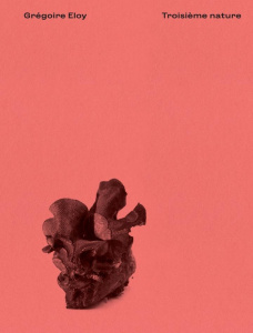 Troisième nature - Eloy Grégoire ; Poivert Michel
