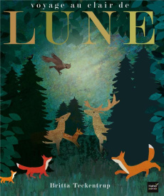 Voyage au clair de Lune - Teckentrup Britta ; Hegarty Patricia