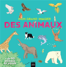 Mon grand imagier des animaux. de 90 animaux du monde - Rubini Stéphanie