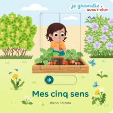 Mes cinq sens - Falorsi Ilaria ; Blanchard Anne