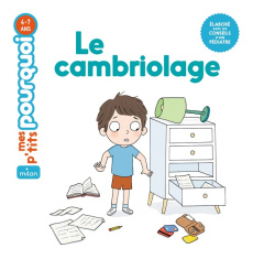 Le cambriolage - Masson Camille ; Ferrández Candela