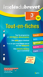 Tout-en-fiches 3e - Medina Annabel ; Parant Marc ; Sartout Maya ; Dera