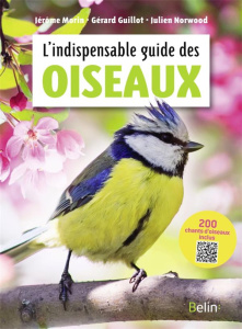 L'indispensable guide des oiseaux - Morin Jérôme ; Guillot Gérard ; Norwood Julien ; E