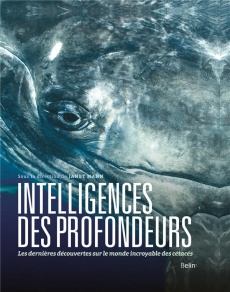 Intelligences des profondeurs. Dans la tête des baleines, dauphins et marsouins - Mann Janet ; Butti Camilla ; Harley Heidi E ; Kakd