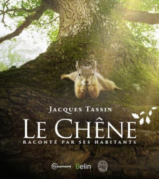 Le chêne - Tassin Jacques