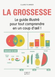 La grossesse. Le guide illustré pour tout comprendre d'un coup d'oeil ! - Plimmer Claire ; Néreaud Améline