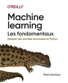 Machine learning : les fondamentaux - Harrison Matt ; Engler Olivier