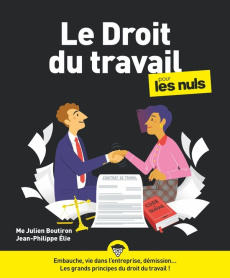 Le droit du travail pour les nuls. 6e édition - Boutiron Julien ; Elie Jean-Philippe