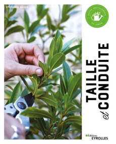 Taille et conduite - Mahon Stéphanie