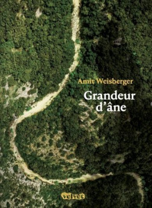 Grandeur d'âne - Weisberger Amit