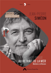 La flaque qui brille au retrait de la mer. Matière à réflexion - Siméon Jean-Pierre