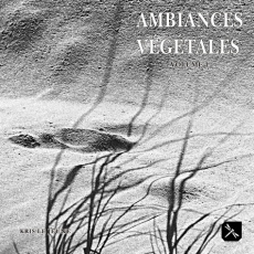 Ambiances végétales. Tome 1 - Le Jeune Kris