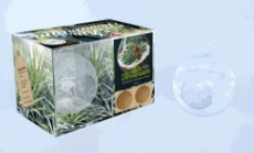 Air terrarium. Microjardins à suspendre ou à poser - Avec un terrarium à suspendre en verre, des gra - Chapman Baylor - Green Paige